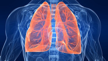Забравете за кашлицата: Ето как да почистите дробовете си след пушене само за три дни