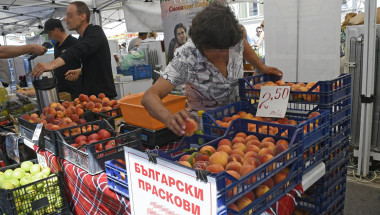 Проф. Пламен Моллов: Контролът на храните в България е бутафорен