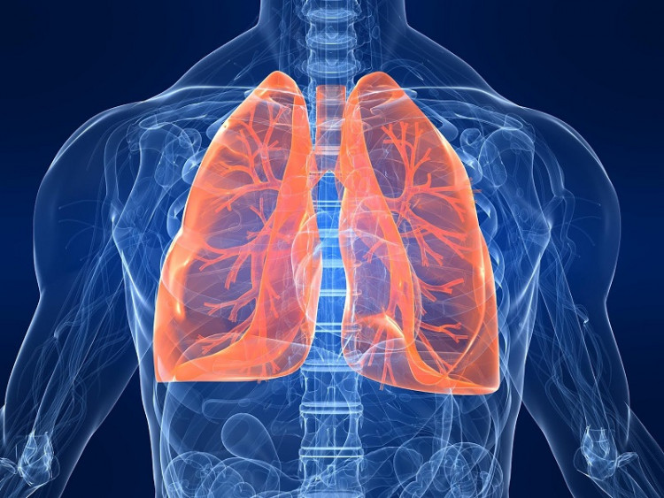 Забравете за кашлицата: Ето как да почистите дробовете си след пушене само за три дни