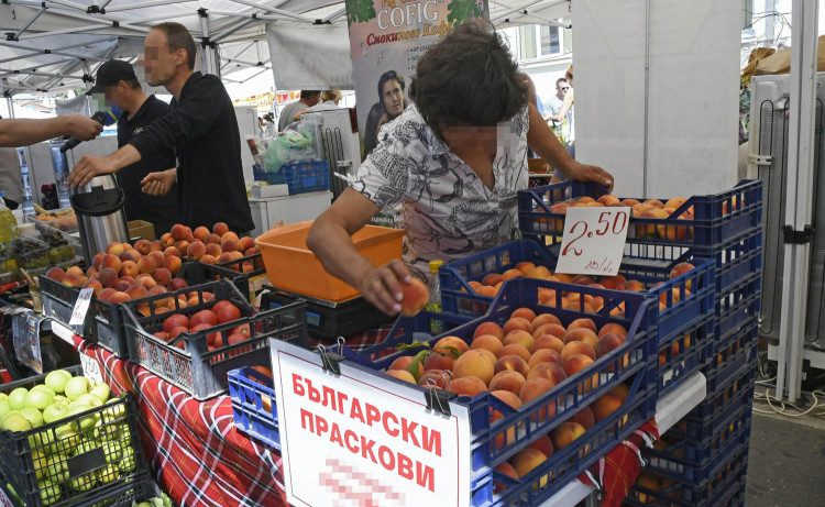 Проф. Пламен Моллов: Контролът на храните в България е бутафорен