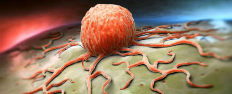 9-те най-мощни хранителни вещества, които могат да убият раковите клетки