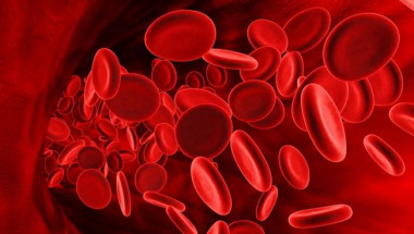 Откриха нещо много любопитно за хората с най-рядката кръвна група