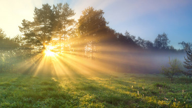 Може ли слънчевата светлина да се бори с метаболитния синдром?