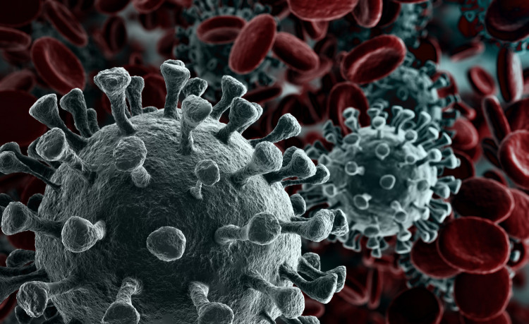 Учени откриха най-лесния „вход” за коронавируса