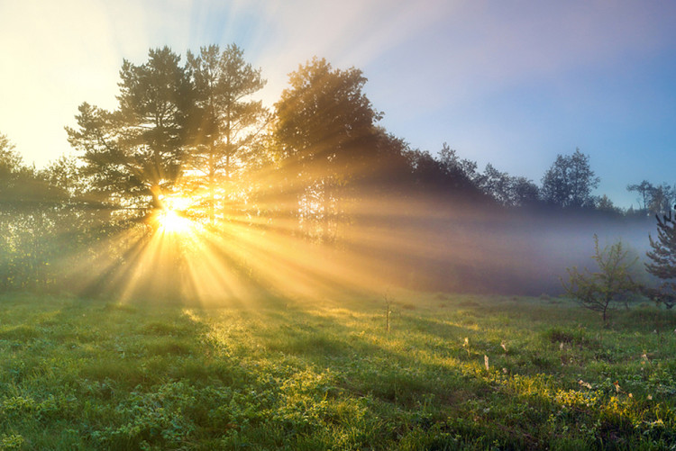 Може ли слънчевата светлина да се бори с метаболитния синдром?