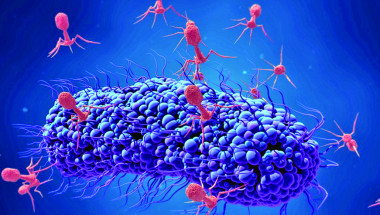 Проф. д-р Златко Кълвачев: 8% от човешкия геном са вируси – от тях има ползи