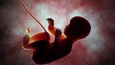 Детето в утробата „лекува” майка си със стволови клетки