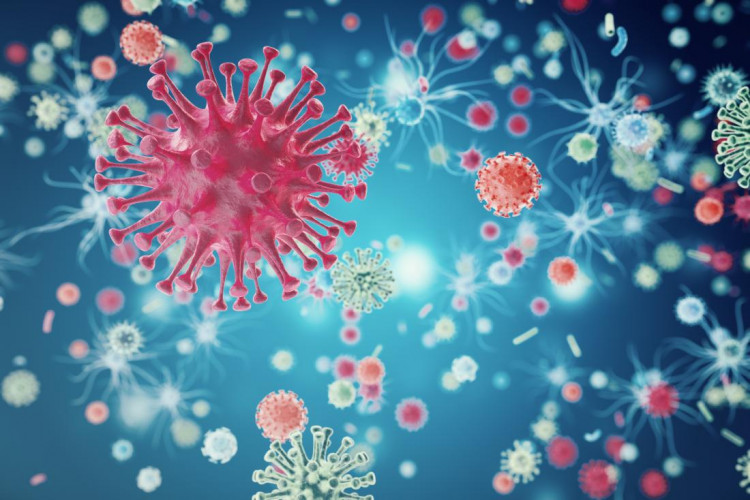 Британски експерт обясни как да повишим имунитета си