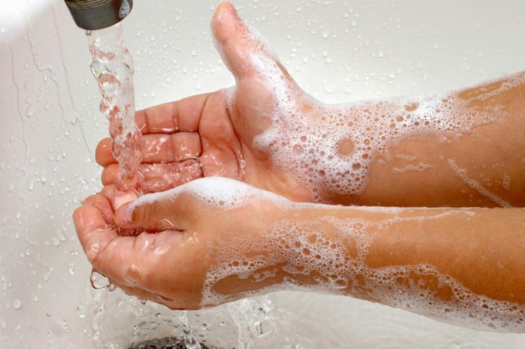 Дезинфектант или сапун? Каква е основната разлика?