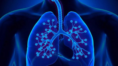 Учен обясни как да опазим белите си дробове при коронавирус