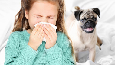 Д-р Симеон Узунов: Полени и домашни любимци предизвикват алергична астма