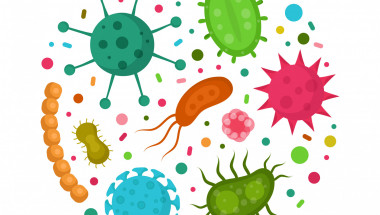 10 заразени с бактерии неща, които носите със себе си през цялото време