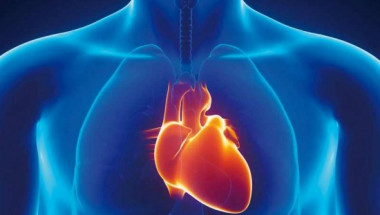 Професор по кардиология: Как да разпознаем първите симптоми на инфаркт