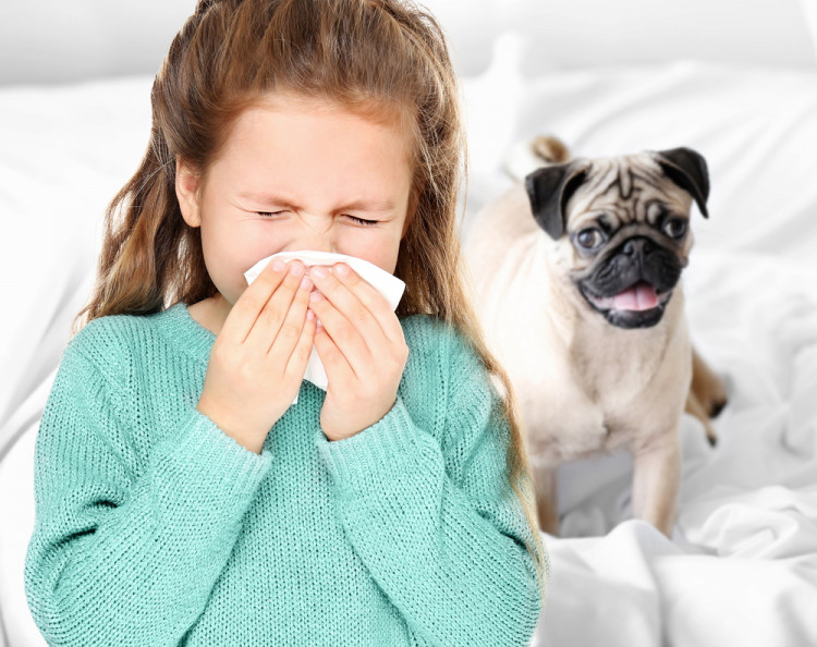 Д-р Симеон Узунов: Полени и домашни любимци предизвикват алергична астма