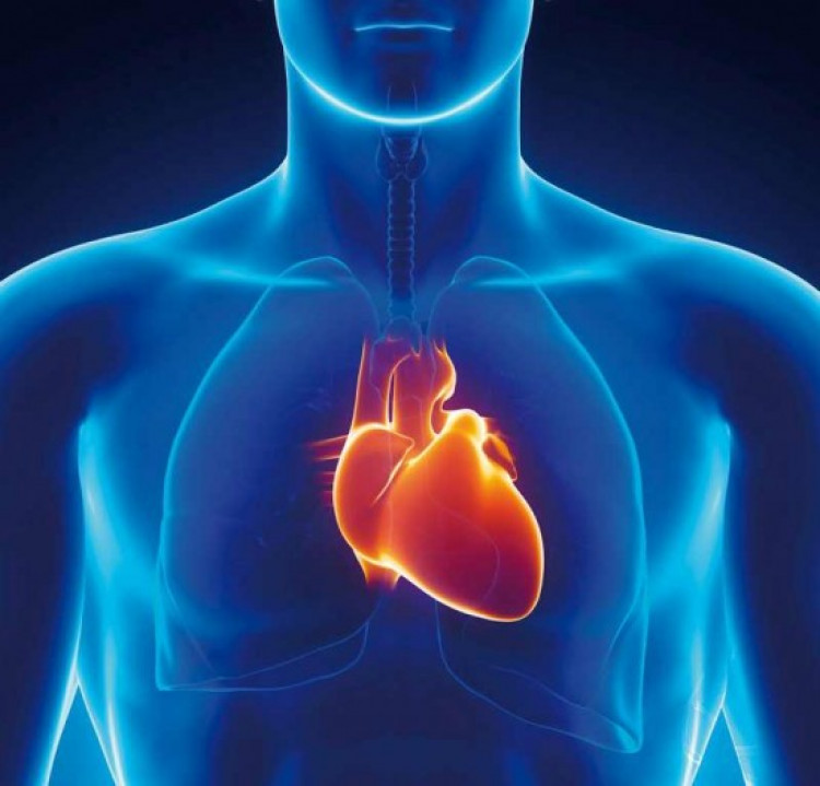 Професор по кардиология: Как да разпознаем първите симптоми на инфаркт