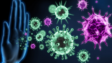 Шест доказани терапии за отличен имунитет