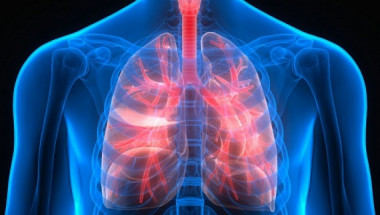 Как да проверим здравето на белите дробове и да ги подготвим за зимата 