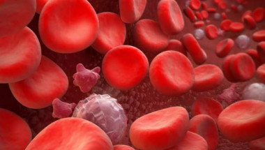 Кръвната група - ключ към смъртоносните заболявания