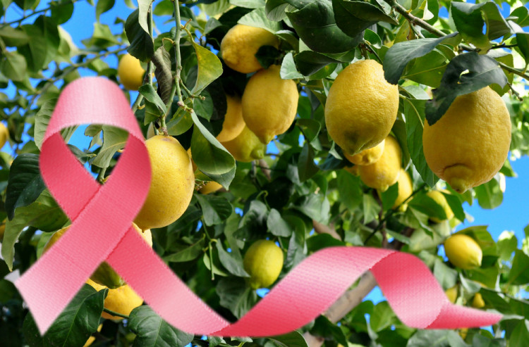 „Маслото на дълголетието“ намалява риска от рак на гърдата