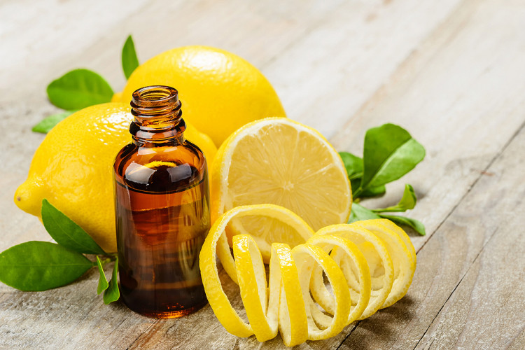 Татяна Андонова: Етеричните масла от лимон и здравец - силни стимуланти на имунитета и адаптогени