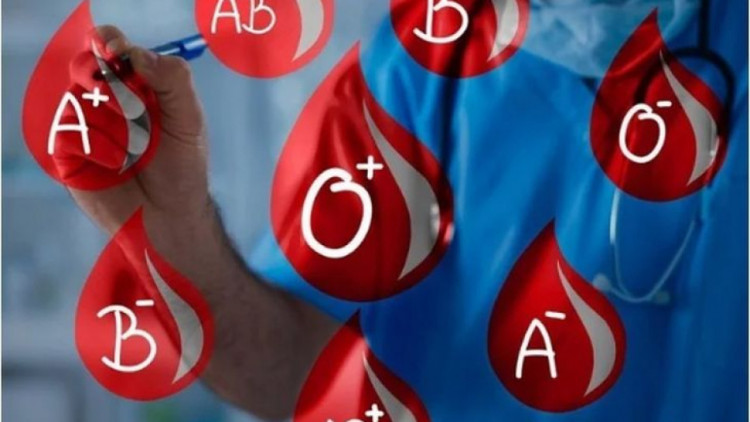 Лекари посочиха кръвните групи с риск от тромбоза и инсулт