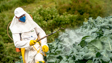 Пестицидите в храните повишават риска от рак на гърдата