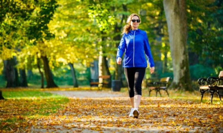 Световни специалисти разкриха по колко трябва да се разхождате на ден, за да се отървете от хипертонията и затлъстяването