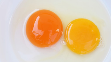 Ръководство за яйца: какъв цвят трябва да е жълтъкът?