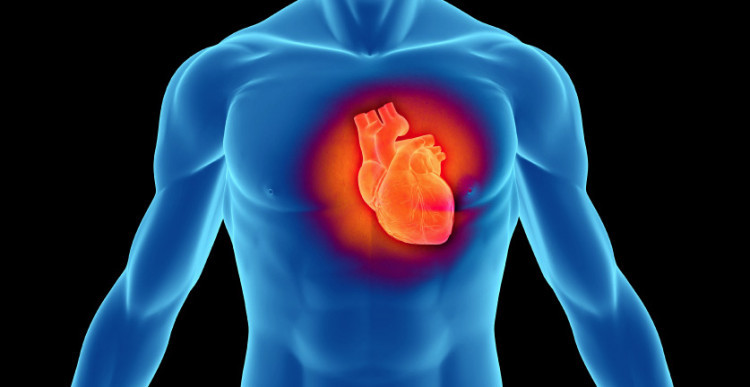 Лекари обясниха как да се идентифицира инфаркт