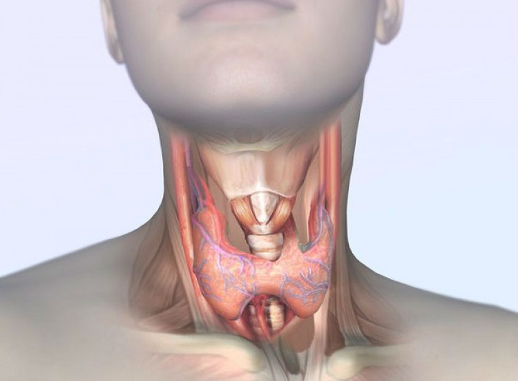 Как да разпознаем проблемите с щитовидната жлеза