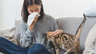 Митове за алергиите