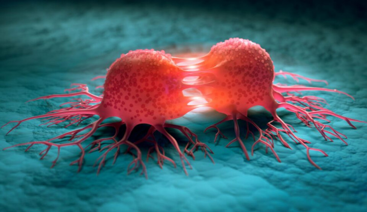 Учени откриха начин за забавяне на растежа на раковите клетки