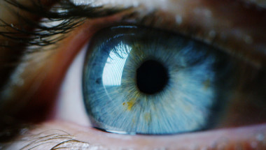 Генна терапия връща зрението на братя с дистрофия на ретината