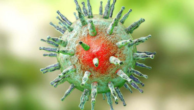 Вирусът на Епщайн-Бар – спусък за множествената склероза