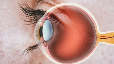 Коронавирусът може тежко да увреди очите