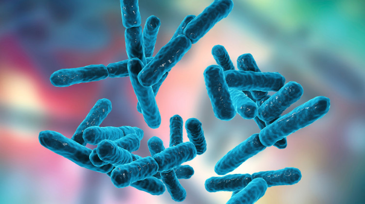 Пробиотичните чревни бактерии предизвикват растеж на рака на панкреаса