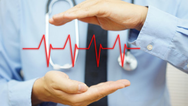 Ново изследване разкрива как сърцето се възстановява след инфаркт