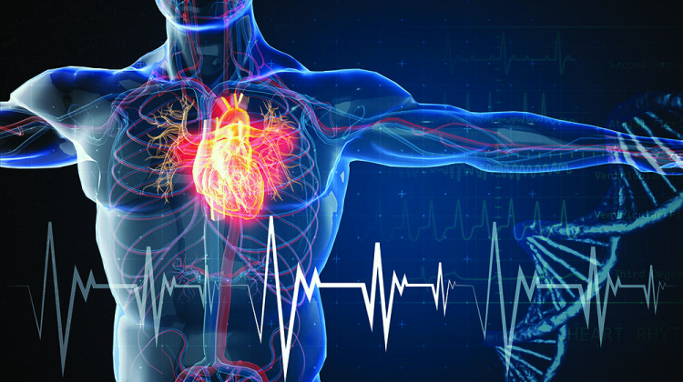 Видове и симптоми  на сърдечната недостатъчност