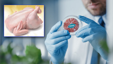 Растително „месо“ срещу пилешко: от кое си набавяме повече протеини?