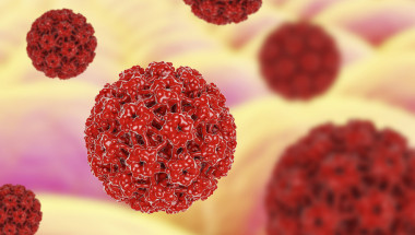 Екстракт от лечебна гъба обещава изчистване на HPV инфекцията
