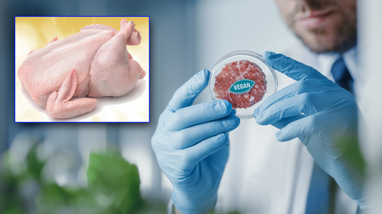 Растително „месо“ срещу пилешко: от кое си набавяме повече протеини?