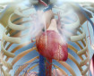 Д-р Зоя Кунева, д.м.: Най-важното е сърдечната недостатъчност да бъде открита рано