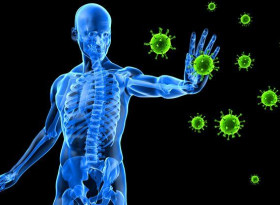 4 научно доказани начина за укрепване на имунната система