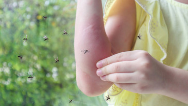 Комарите хапят повече тези хора, ето защо