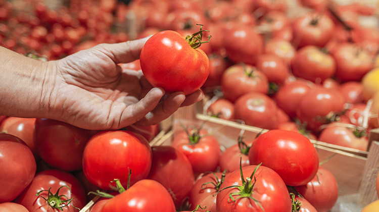 Вярно ли е, че доматите са опасни за ставите?