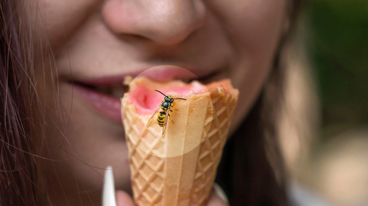 Може ли човек да умре, ако в устата или носа влезе насекомо?