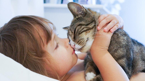 Учени: Децата с котки – с 2 пъти по-голям риск от шизофрения