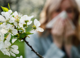 Какви храни да избягвате, ако сте алергични към полени?