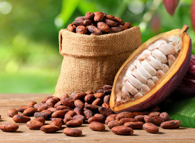 Вещество в какаото спасява от затлъстяване и алцхаймер