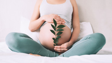 Д-р Добринка Петрова: И начинът на живот възпрепятства забременяването
